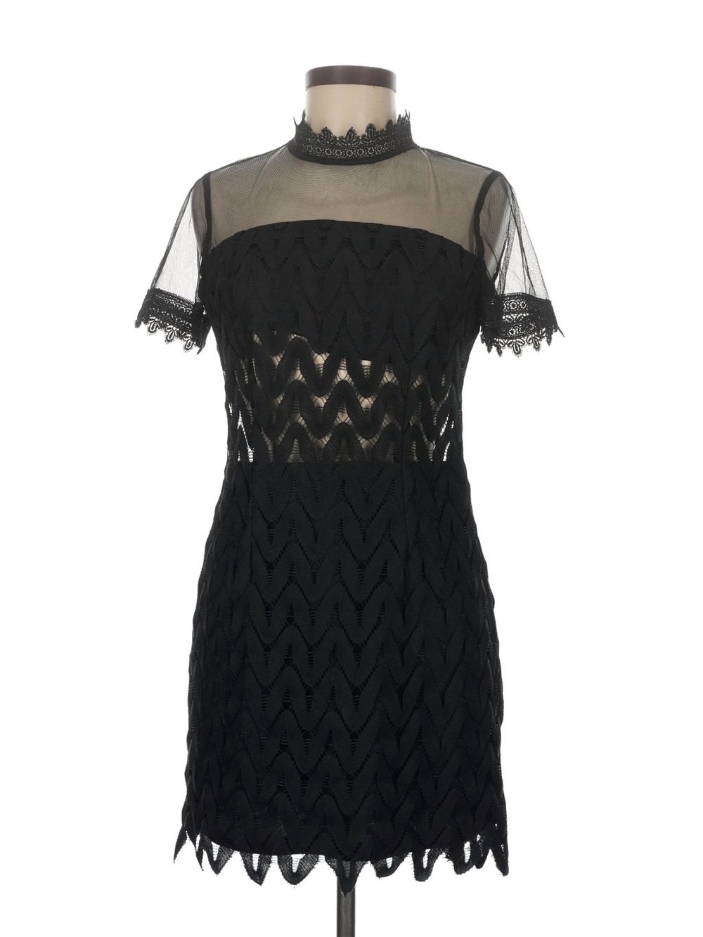Endless Rose Black Lace & Sheer Mini Dress